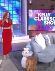 The_Kelly_Clarkson_Show_mkv1513.jpg